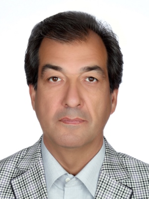 Mohammad Hossein Amini